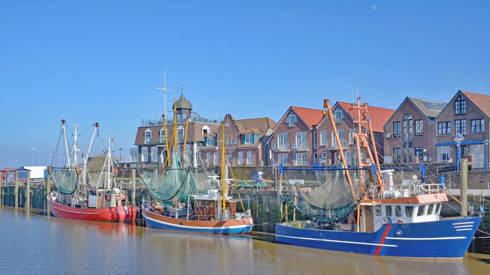 Several fishing boats docked at a harbor with a row of houses in the background.