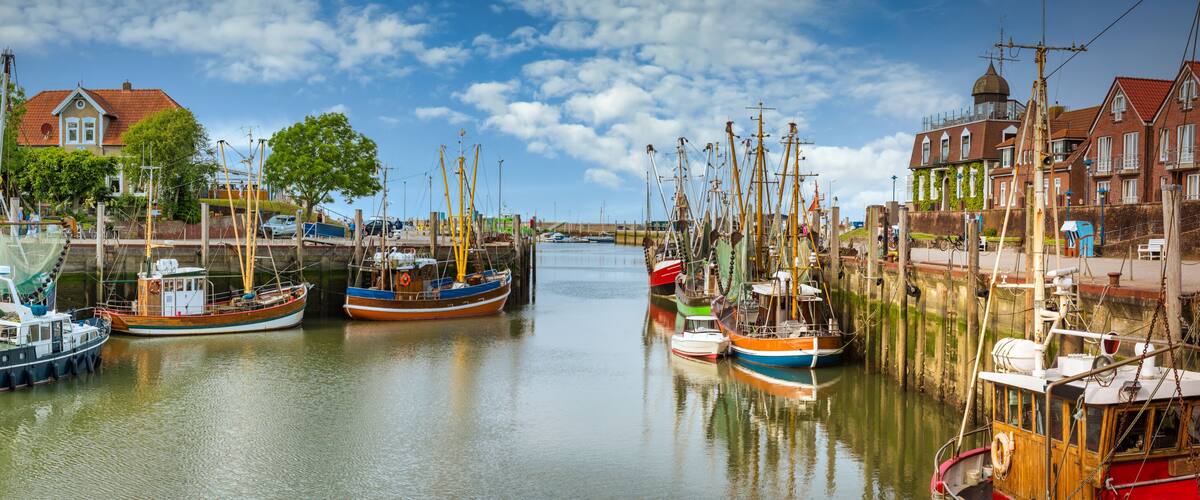 A harbor with boats docked along the water, surrounded by buildings and trees.