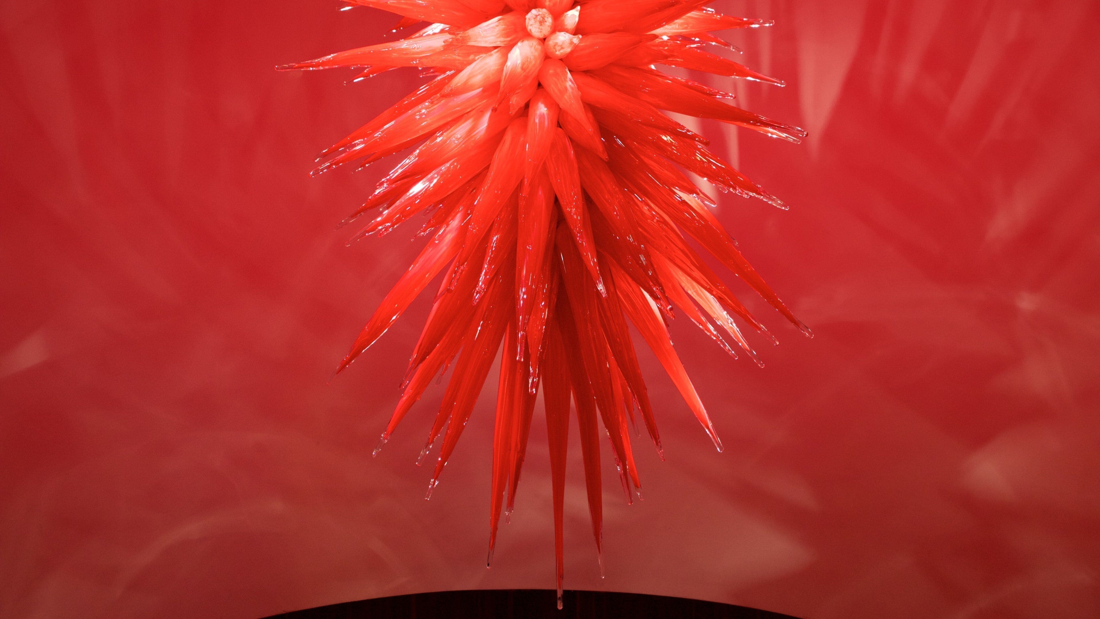 Colección Chihuly ofreciendo vista interna y arte