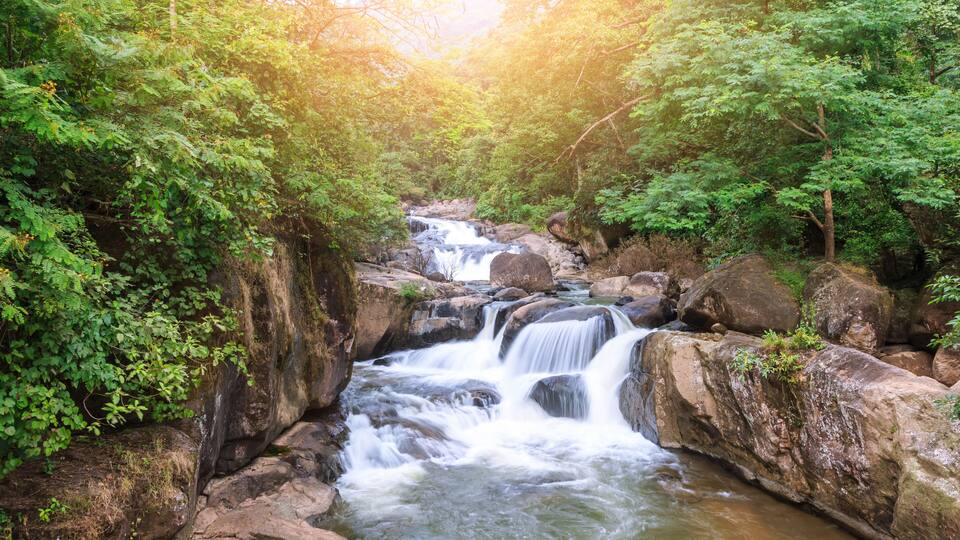 A waterfall in a forested area with sunlight filtering through the trees.
