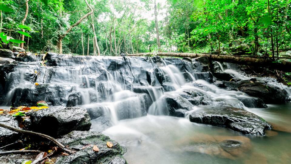 A waterfall in a forested area with rocks and trees.