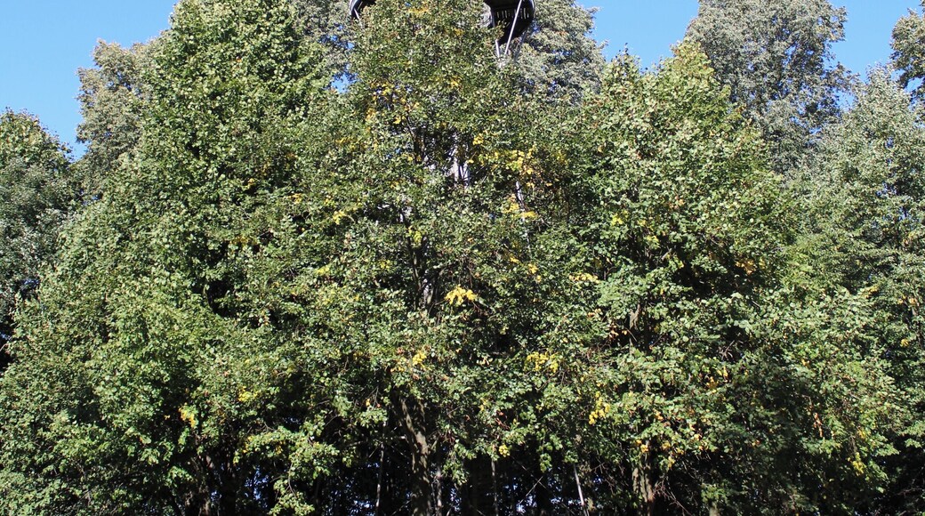 Aussichtsturm Götzinger Höhe Camera location 51° 00′ 32.26″ N, 14° 12′ 28.14″ E View this and other nearby images on: OpenStreetMap - Google Earth 51.008960; 14.207817