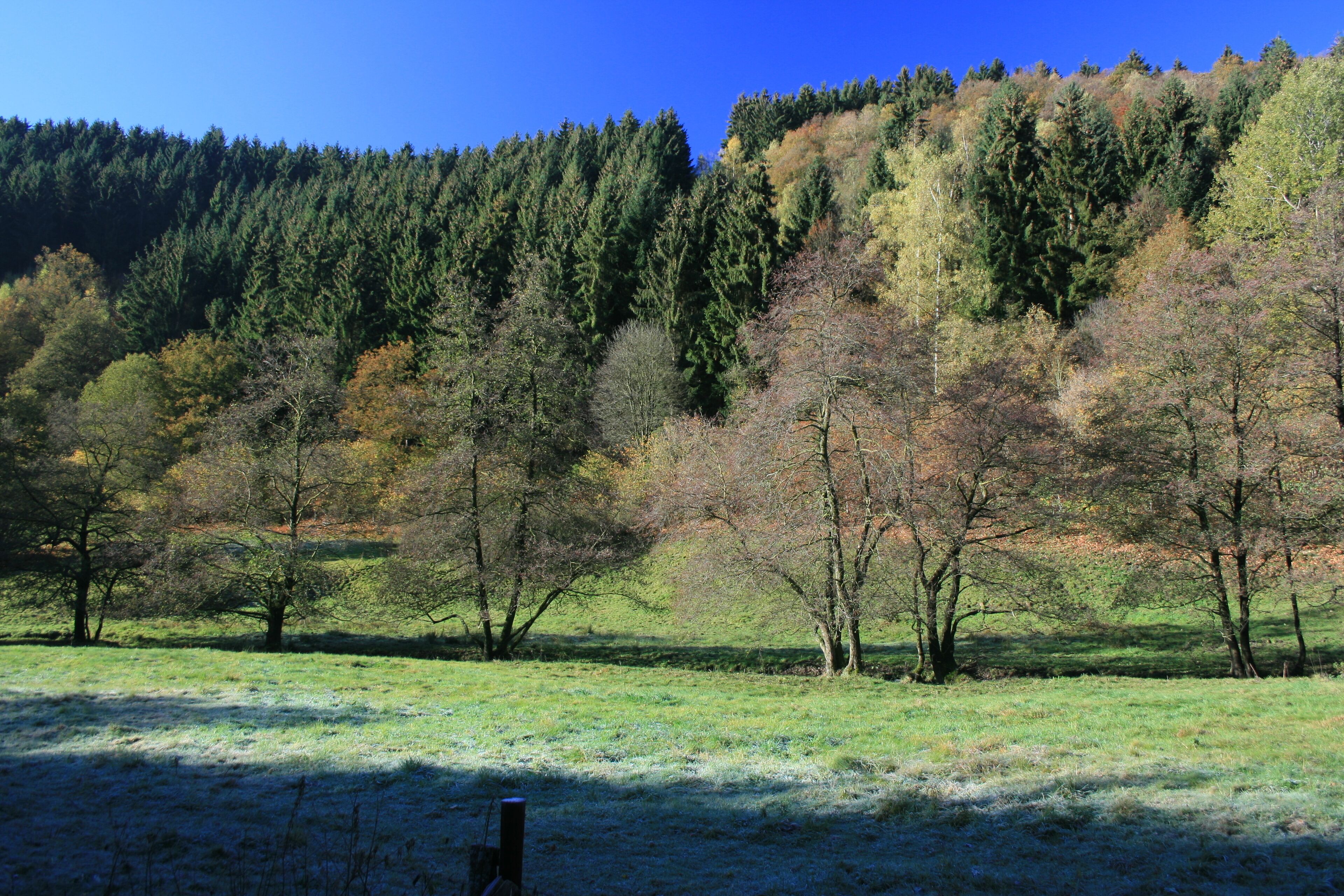Herbstliches Tiefenbachtal