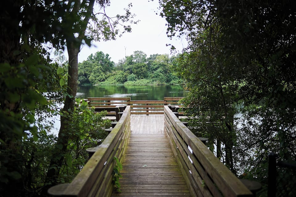 A wooden bridge leading to a calm lake surrounded by dense greenery.