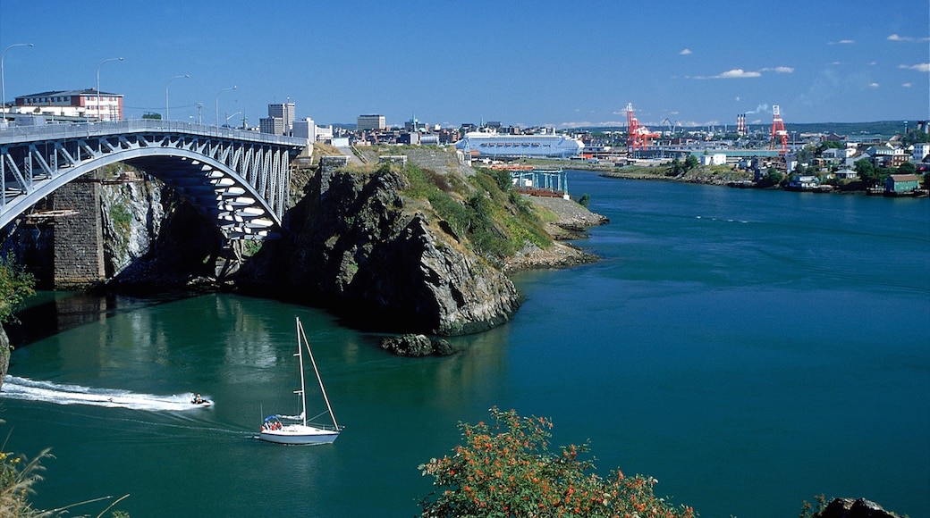 Reversing Falls som visar en hamn eller havsbukt och en bro