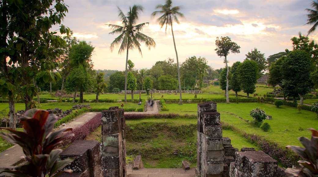 Ratu Boko Palace showing a garden, a sunset and a ruin