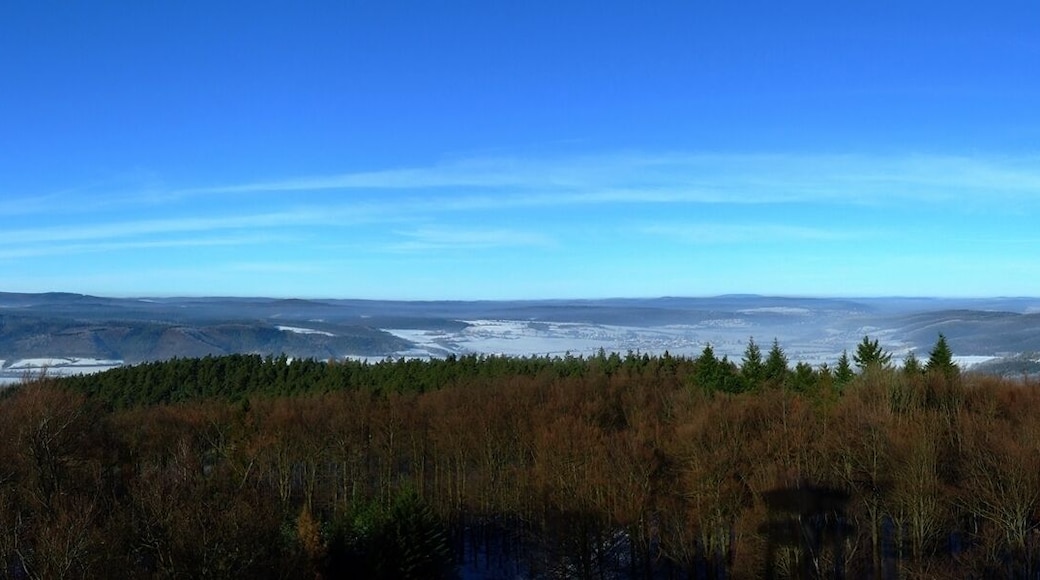Panorama von der Mengshäuser Kuppe nach Nordwest 180° (09.01.2009)