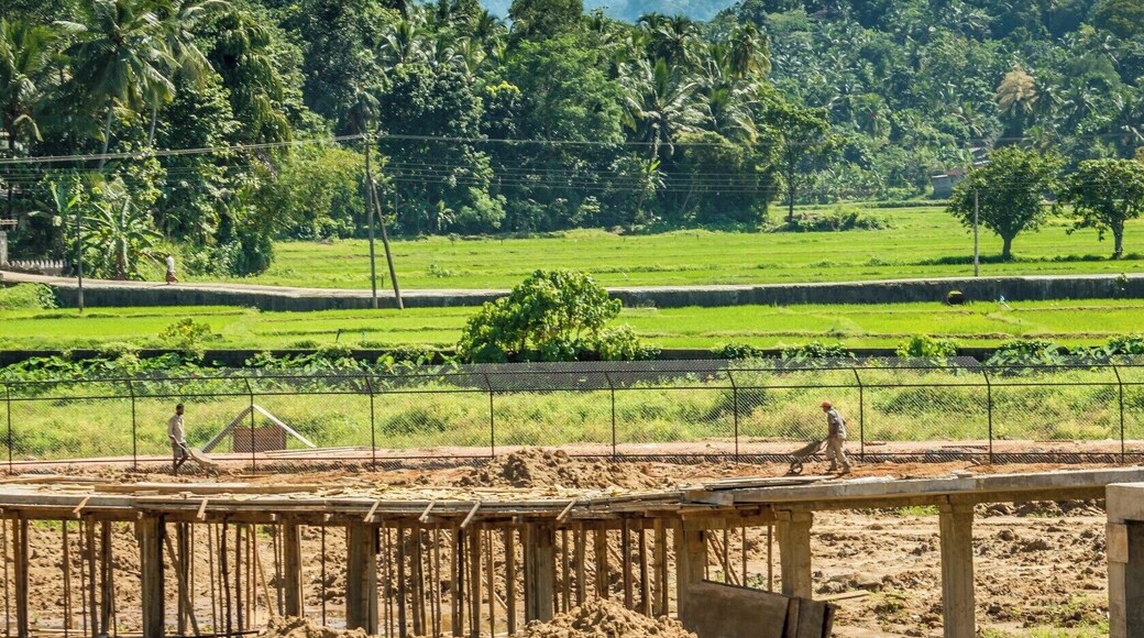 A cool village situated in the vicinity of the newly established Pinnawala Open Air Zoo. It is still under construction. Therefore, not highly recommended to visit. Still there are few amazing sights to see around and there are quite a few of Leopards in the park.