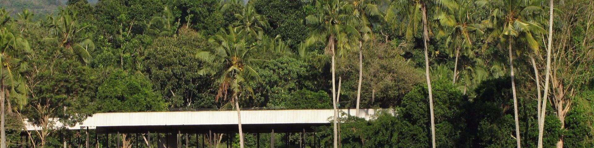 Pinnawala Elephant Orphanage is an orphanage, nursery and captive breeding ground for wild Asian elephants located at Pinnawala village, 13 km (8.1 mi) northeast of Kegalle town in Sabaragamuwa Province of Sri Lanka. Pinnawala is notable for having the largest herd of captive elephants in the world. In 2011, there were 88 elephants, including 89 males and 51 females from 3 generations, living in Pinnawala.
#JitTravelDiaries #SriLanka #PinnawalaElephantOrphanage