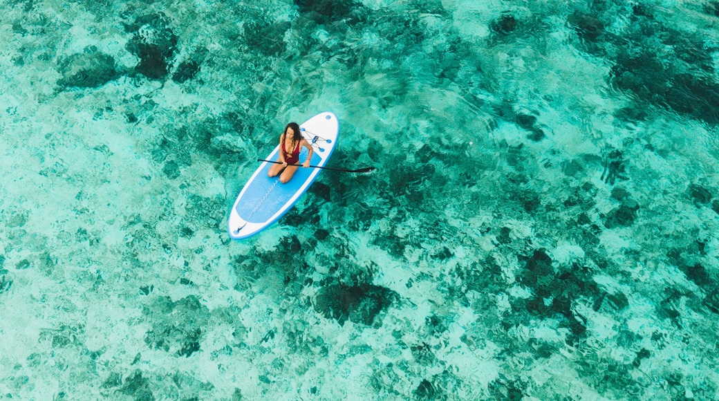 Woman sitting on sup board and enjoying turquoise transparent water and coral reef. Tropical travel, wanderlust and water activity concept.