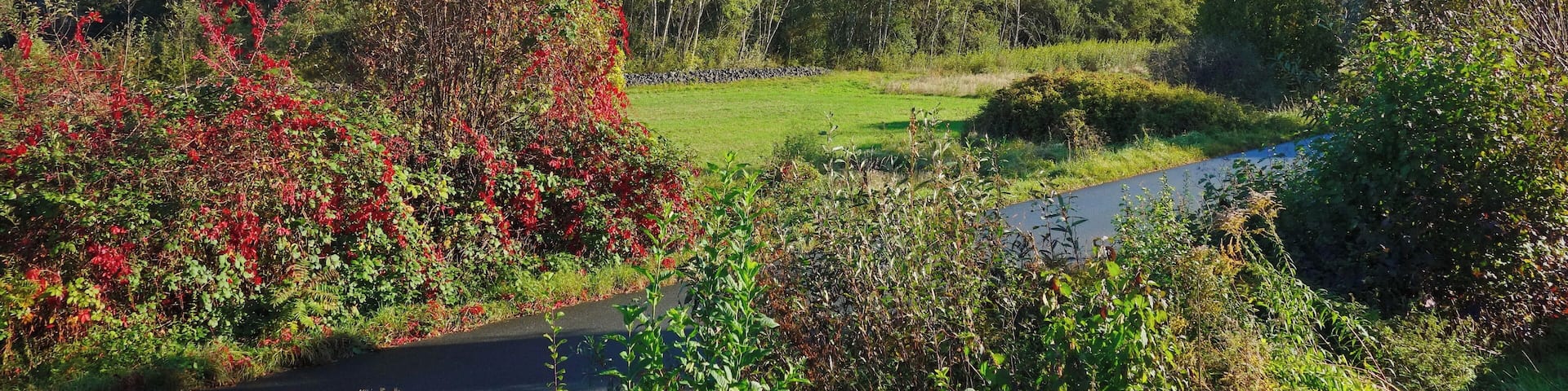 NSG Gräbenwäldches Feld von Hausen