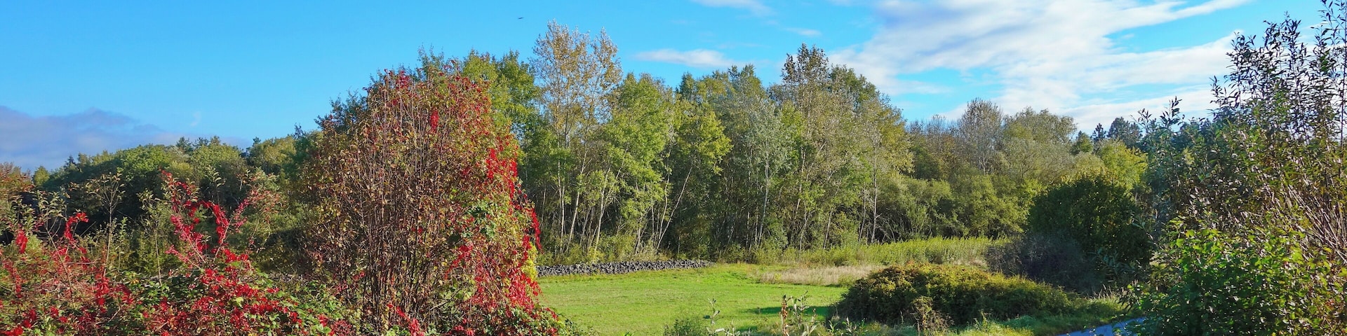 NSG Gräbenwäldches Feld von Hausen