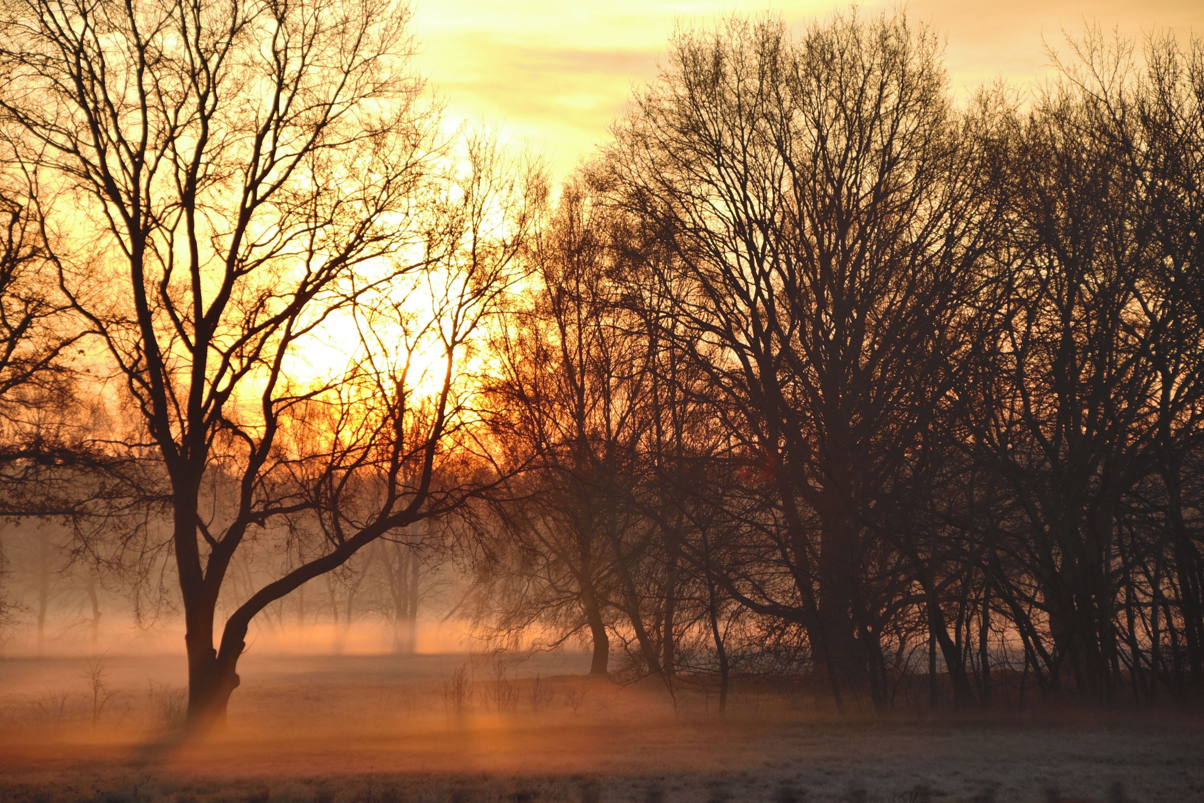 Das Gebiet Kreuzloch in Obertshausen (Kr. Offenbach am Main) soll zum Landschaftsschutzgebiet erklärt werden. Das fordert die Bürgerinitiative "Hände weg vom Kreuzloch und der Rodauniederung" seit Mitte der 1990er Jahre.