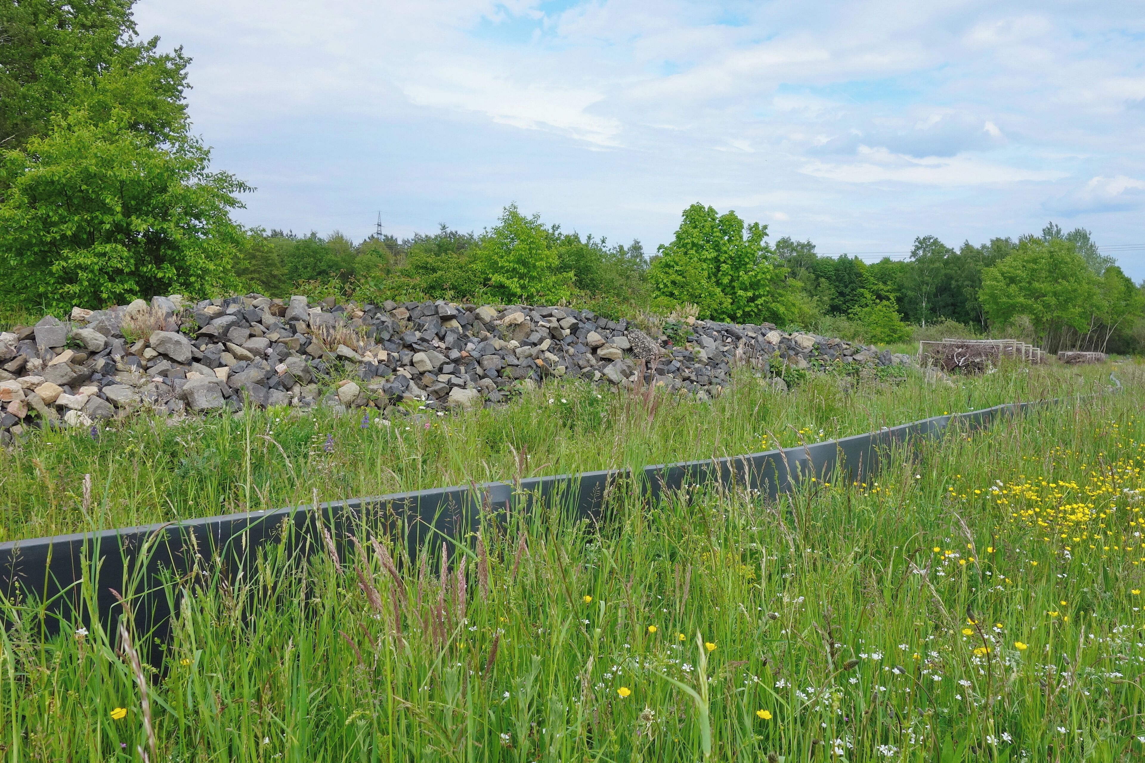 NSG Gräbenwäldches Feld von Hausen 50° 4′ 12.9″ N 8° 52′ 39.5″ E