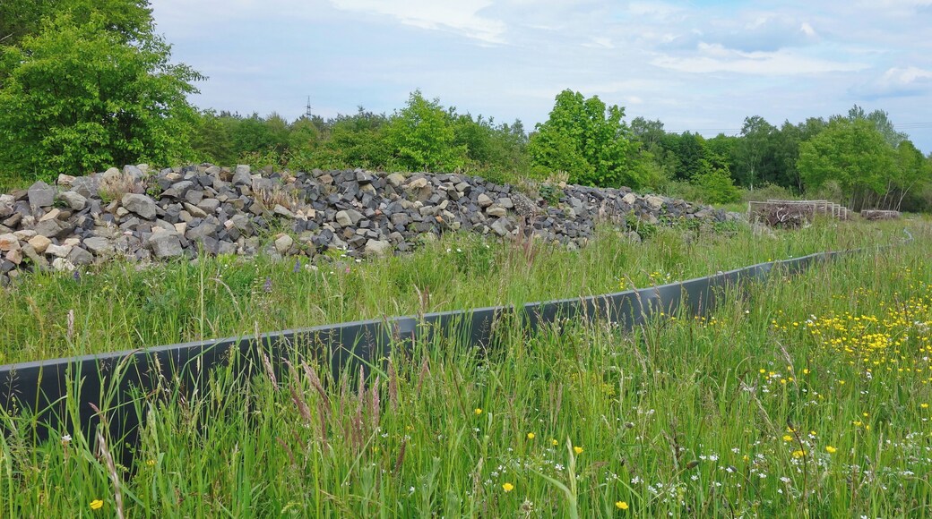 NSG Gräbenwäldches Feld von Hausen 50° 4′ 12.9″ N 8° 52′ 39.5″ E