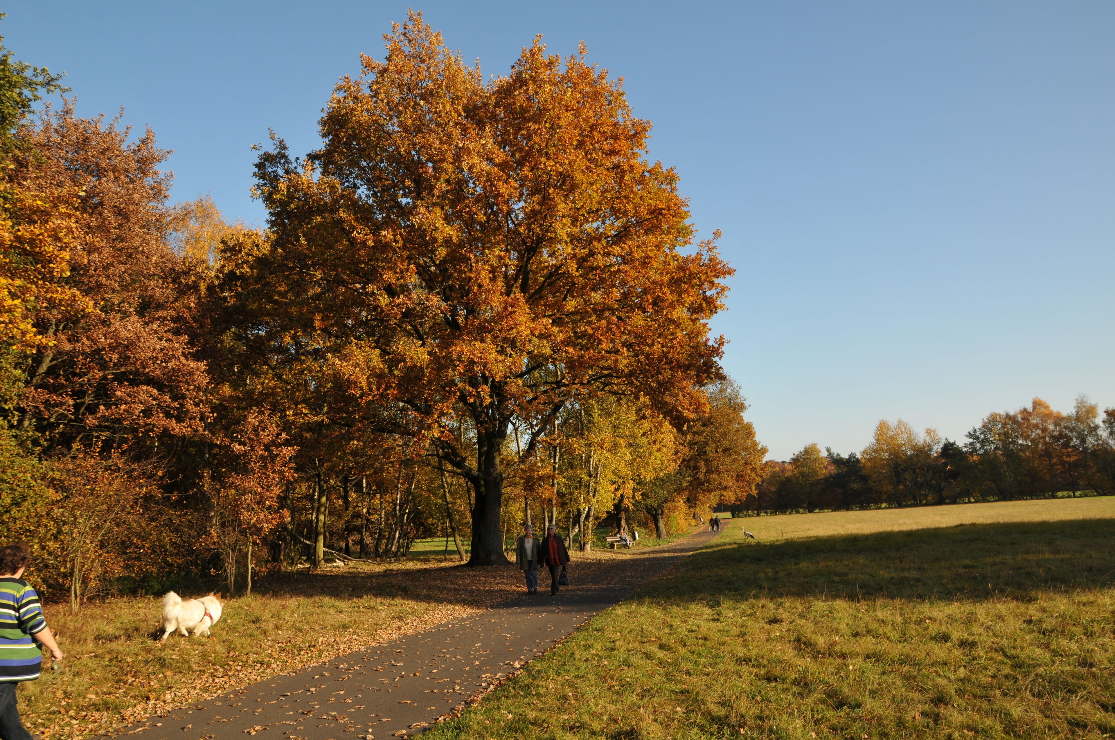 Landschaftsschutzgebiet Kreuzloch