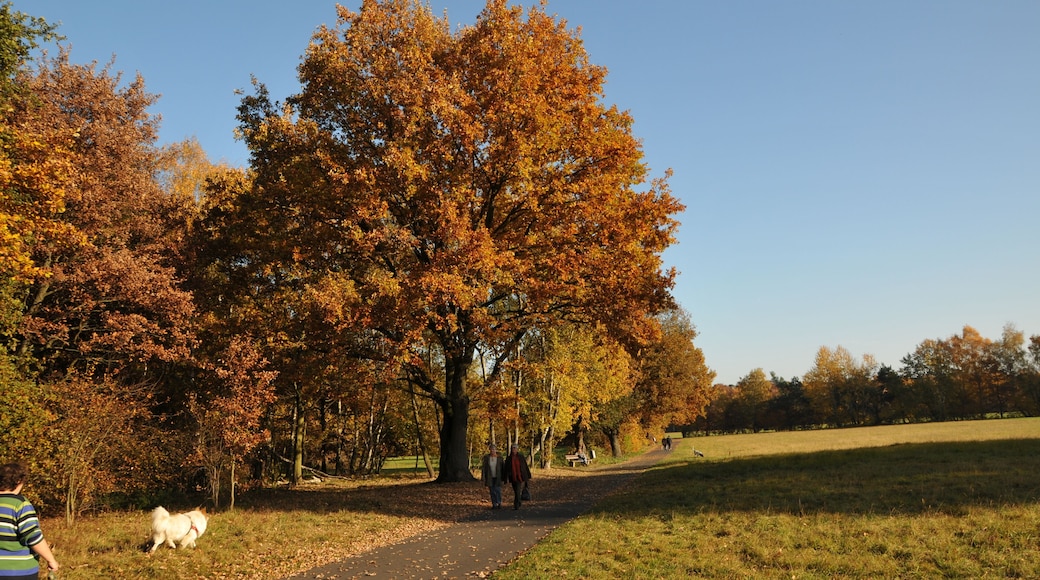Landschaftsschutzgebiet Kreuzloch