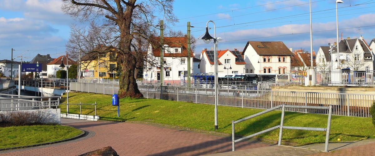 Winterlinde am Obertshausen am Bahnhof in Obertshausen, Kreis Offenbach