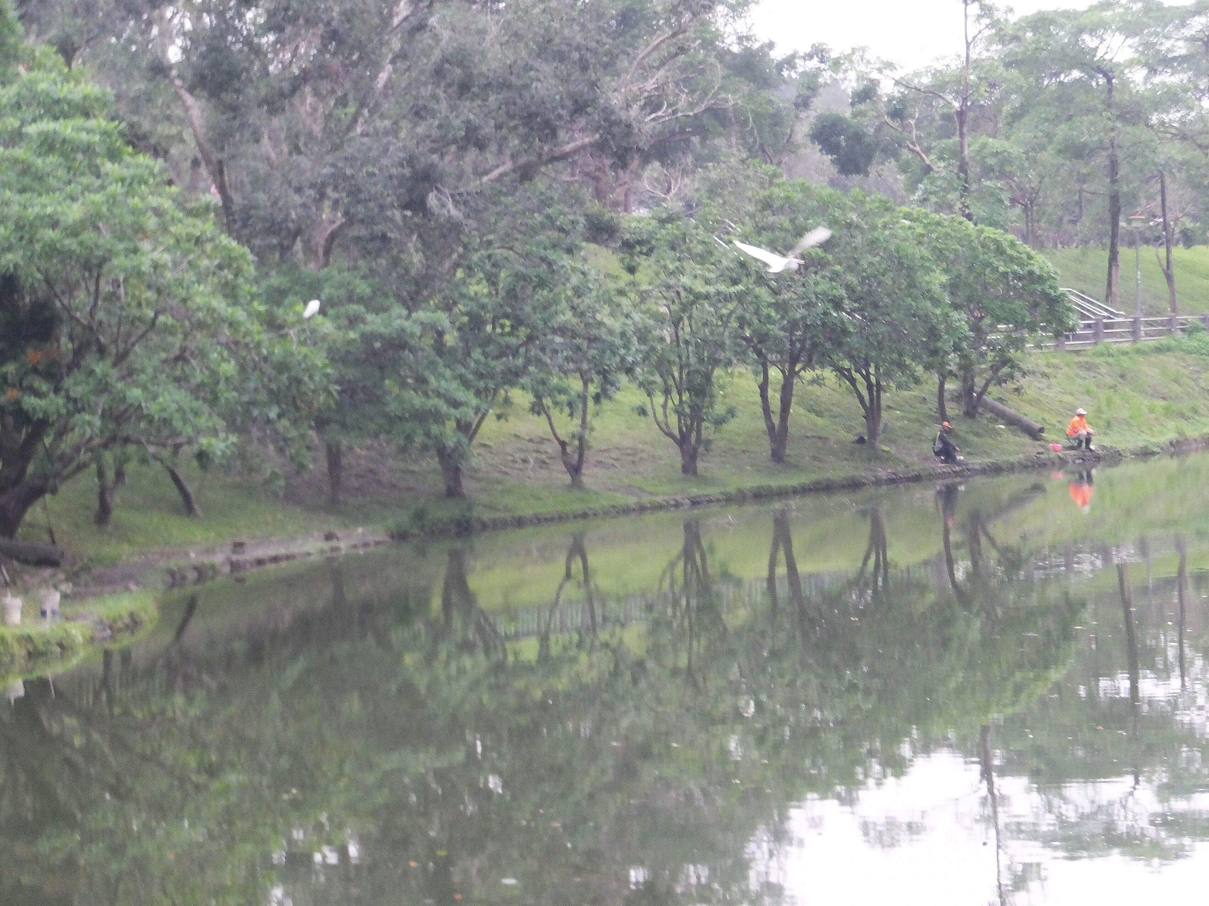 後山埤 Houshanpi Lake
