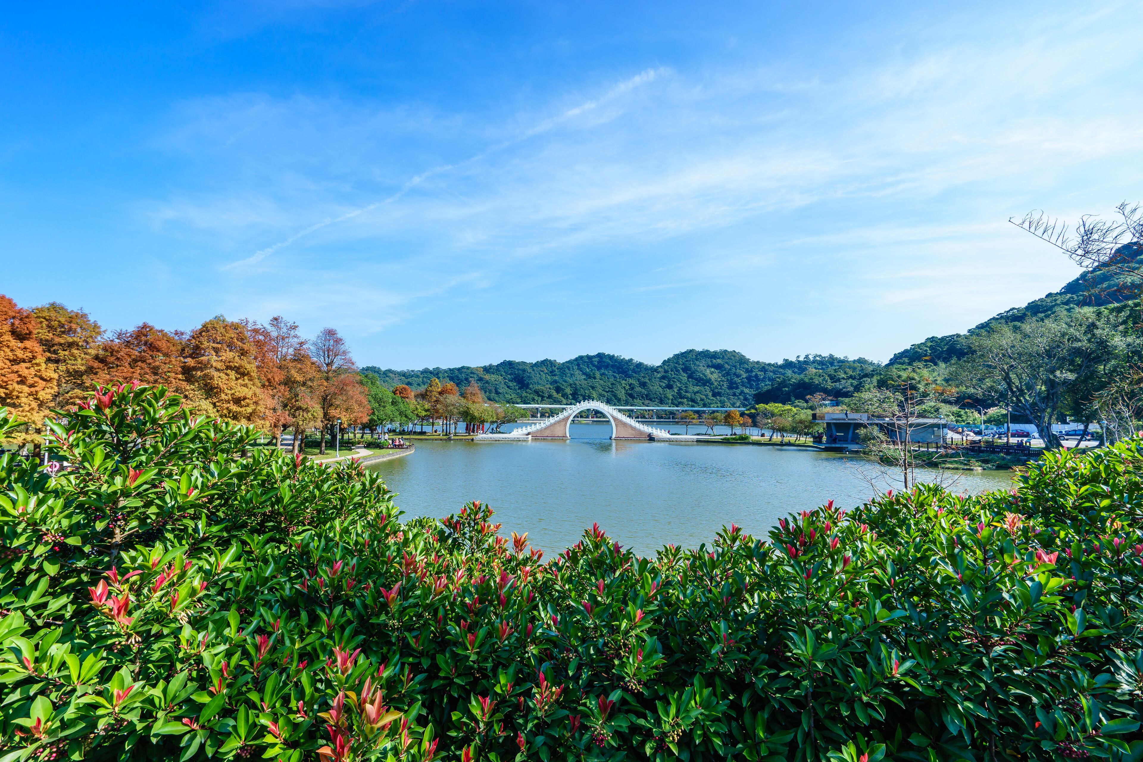 dahu park in taipei,taiwan, focus on foreground; Shutterstock ID 241131805