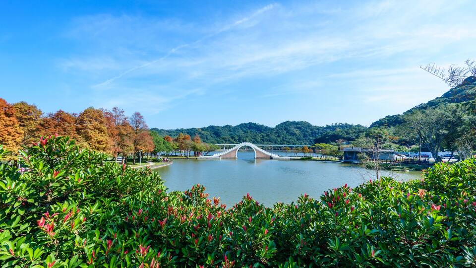 dahu park in taipei,taiwan, focus on foreground; Shutterstock ID 241131805