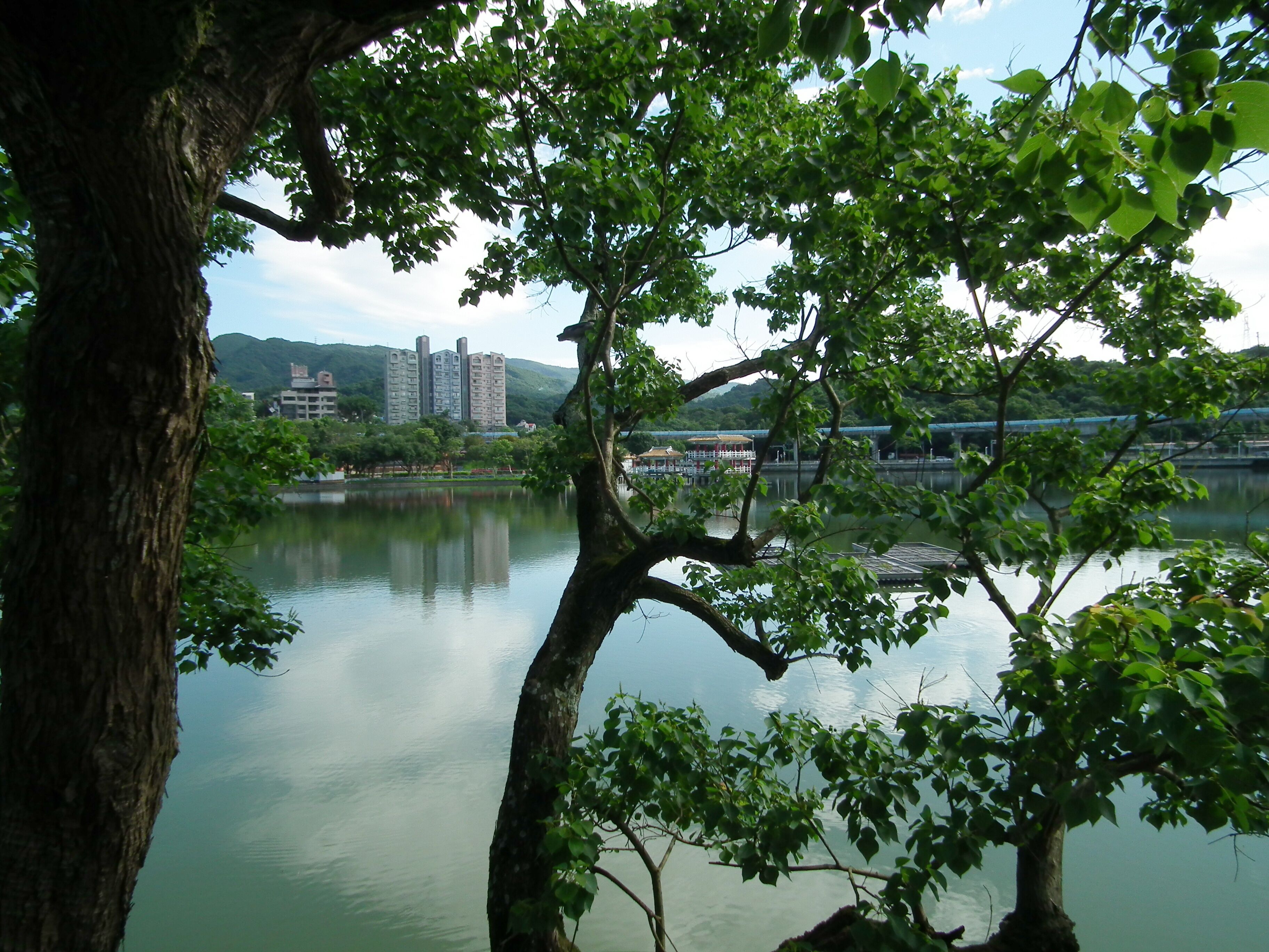 Dahu Park 大湖公園