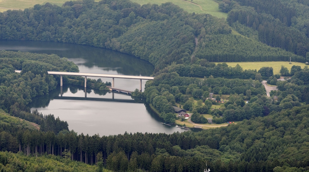 The making of this document was supported by the Community-Budget of Wikimedia Germany. To see other files made with the support of Wikimedia Germany, please see the category Supported by Wikimedia Deutschland.