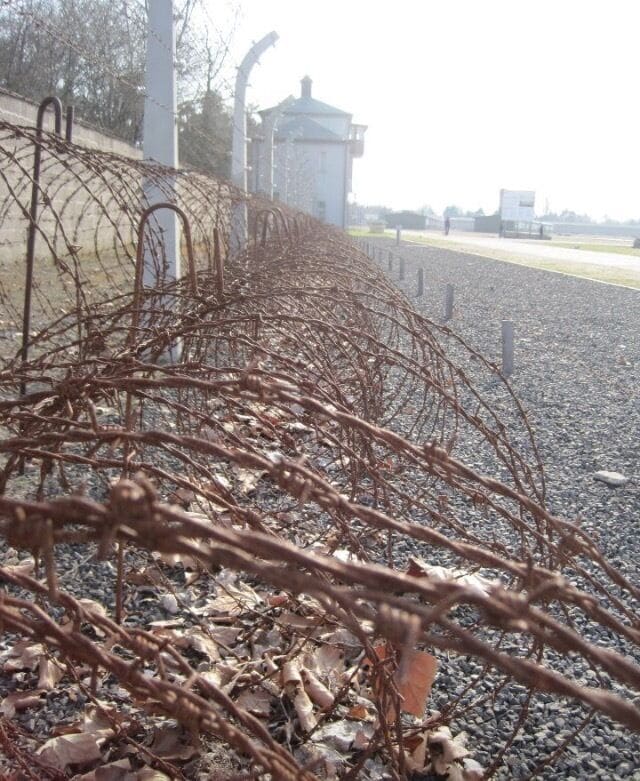 #Sachsenhausen #ConcentrationCamp in #Berlin #Germany here is barb wire that the Nazi's used to keep the #Holocaust victims  away from certain areas and on "the right track". 