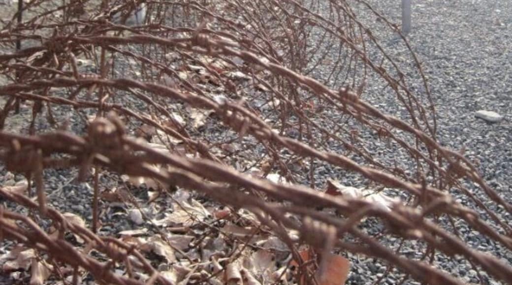 #Sachsenhausen #ConcentrationCamp in #Berlin #Germany here is barb wire that the Nazi's used to keep the #Holocaust victims away from certain areas and on "the right track".