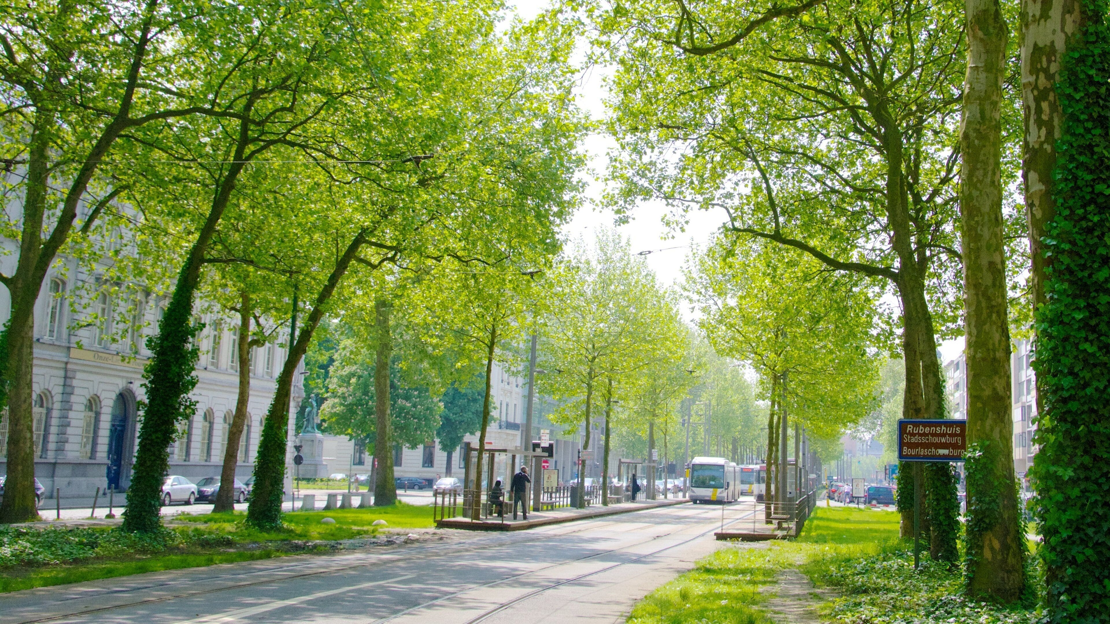 Antwerp featuring a city, a park and railway items