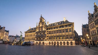 Un edificio histórico con arquitectura ornamentada, una plaza adoquinada y edificios europeos clásicos circundantes.