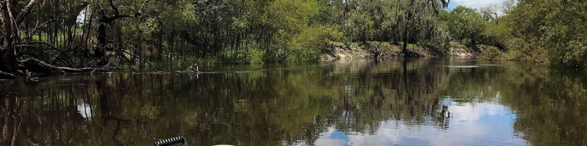 It might not be fast-paced, but floating down the Peace River in Florida to dive and hunt for fossils and Megalodon teeth in gator-infested waters can definitely be a thrill ride. #adventure #peace #river #fossils #megalodon #shark #nature #iceage