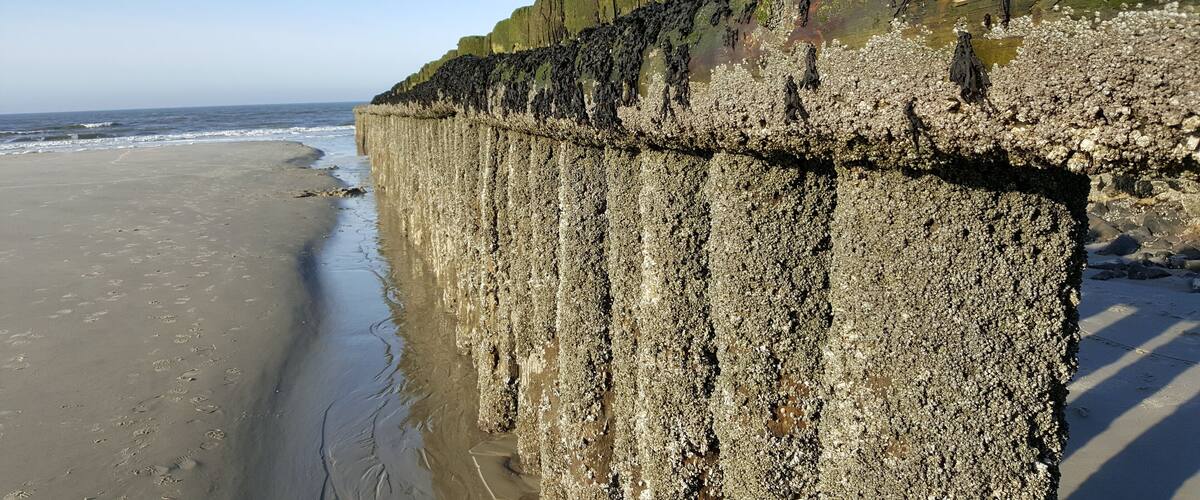 A coastal cliff with a sandy beach and ocean waves.