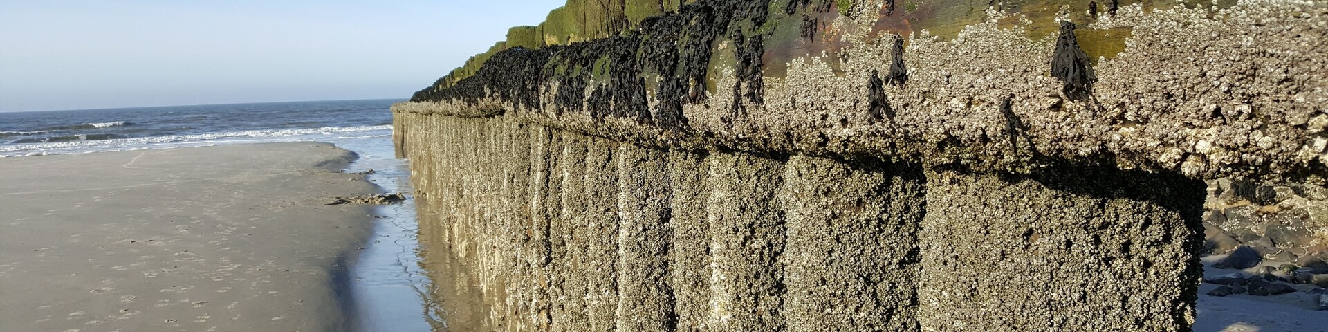 A coastal cliff with a sandy beach and ocean waves.