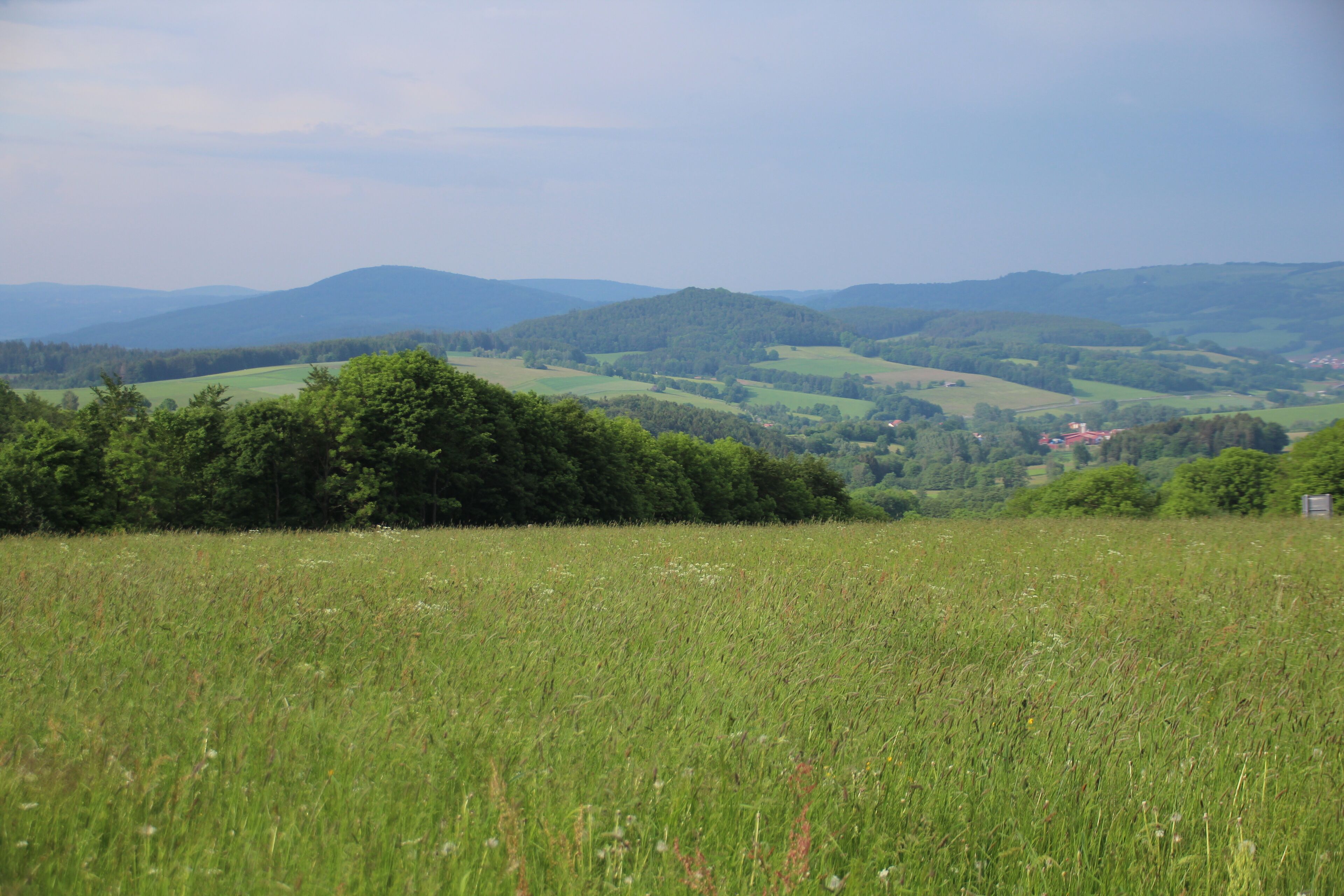 A green field with trees and distant hills.