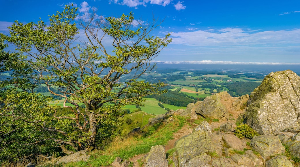 Wasserkuppe Naturpark in der Rhön - Deutschland