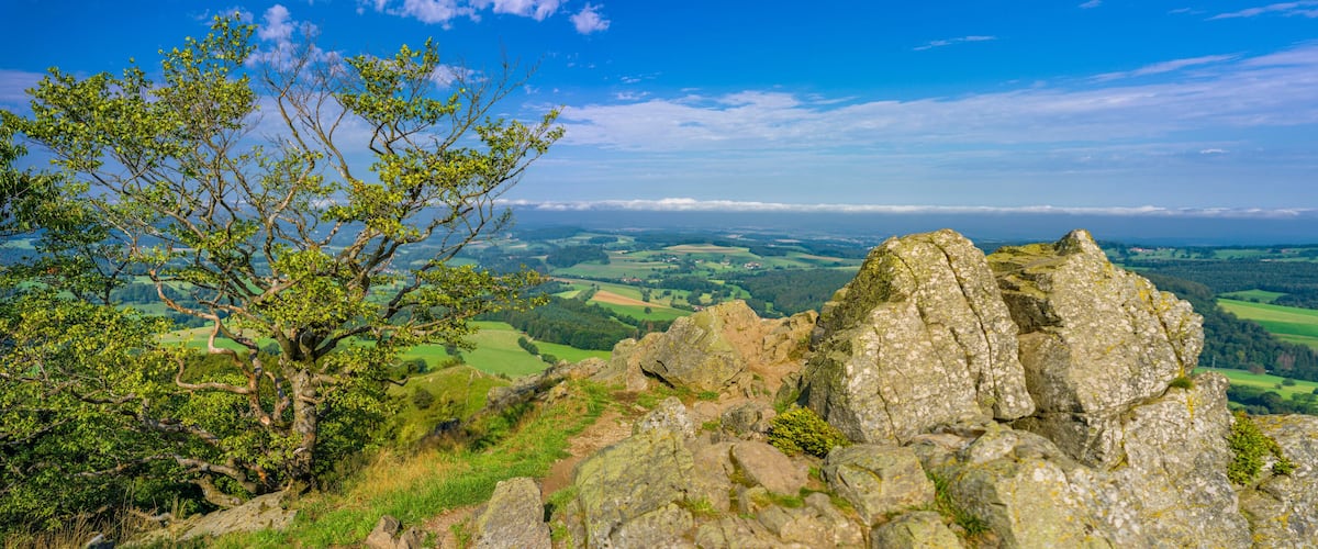 A rocky outcrop with a tree in the foreground and a view of rolling hills and fields in the distance.