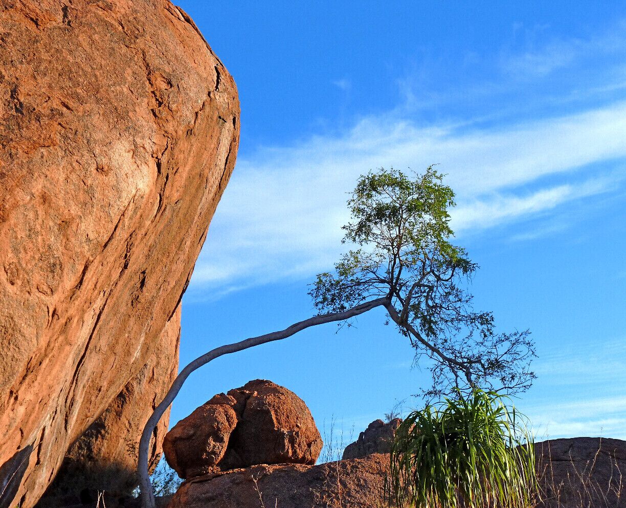 A gorgeous lodge, where granite boulders and trees at odd angles make up an other-worldly landscape.  www.mowani.com