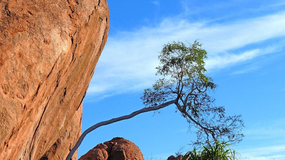 A gorgeous lodge, where granite boulders and trees at odd angles make up an other-worldly landscape. www.mowani.com