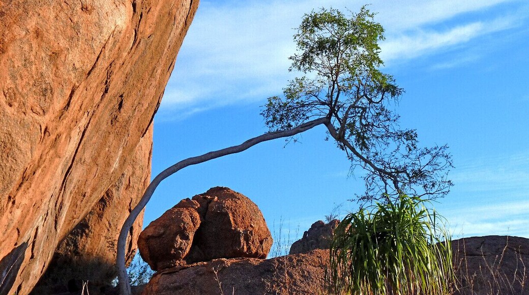 A gorgeous lodge, where granite boulders and trees at odd angles make up an other-worldly landscape. www.mowani.com