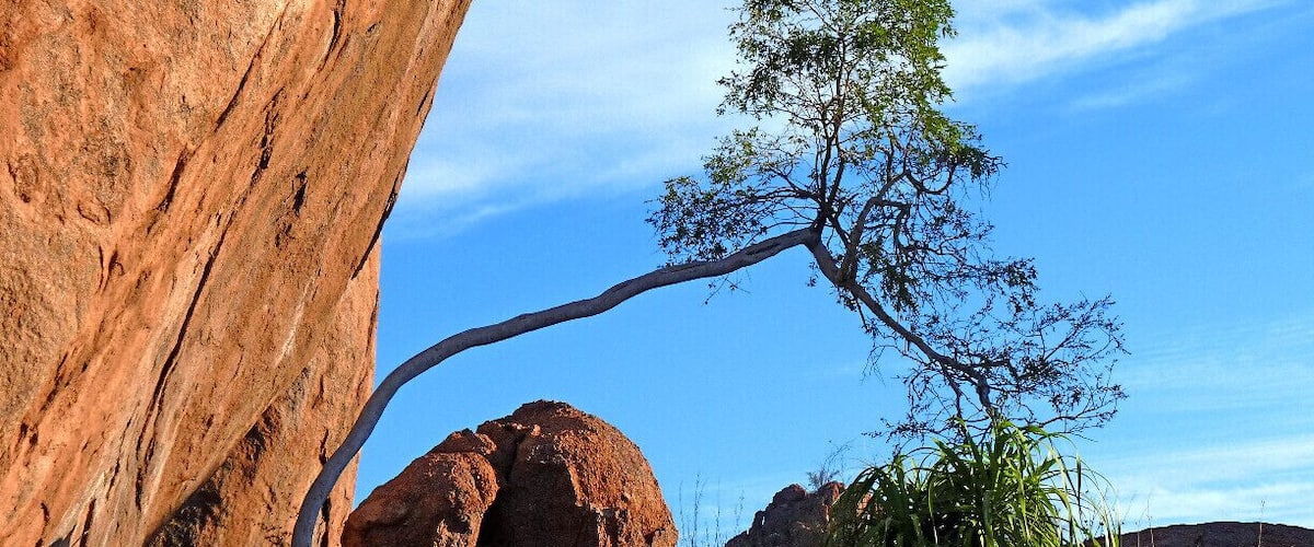 A gorgeous lodge, where granite boulders and trees at odd angles make up an other-worldly landscape.  www.mowani.com