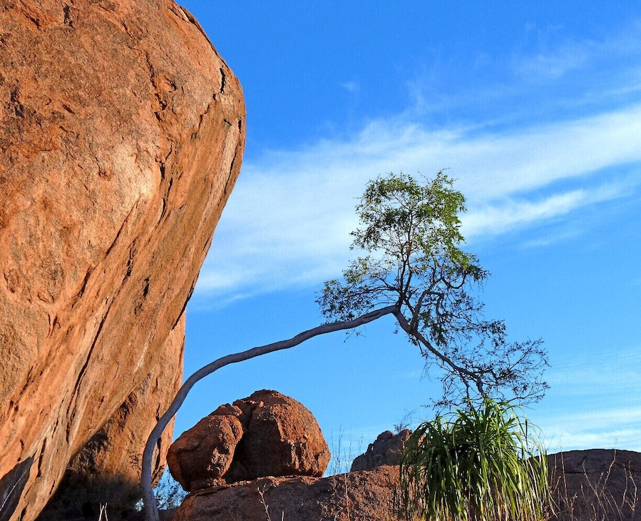 A gorgeous lodge, where granite boulders and trees at odd angles make up an other-worldly landscape. www.mowani.com