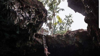Uma pessoa sobe por uma escada para uma piscina azul cristalina, cercada por penhascos rochosos e palmeiras.