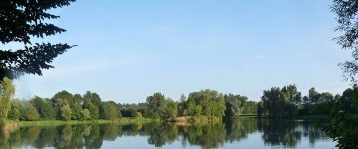 A calm lake with a clear reflection of trees and sky.