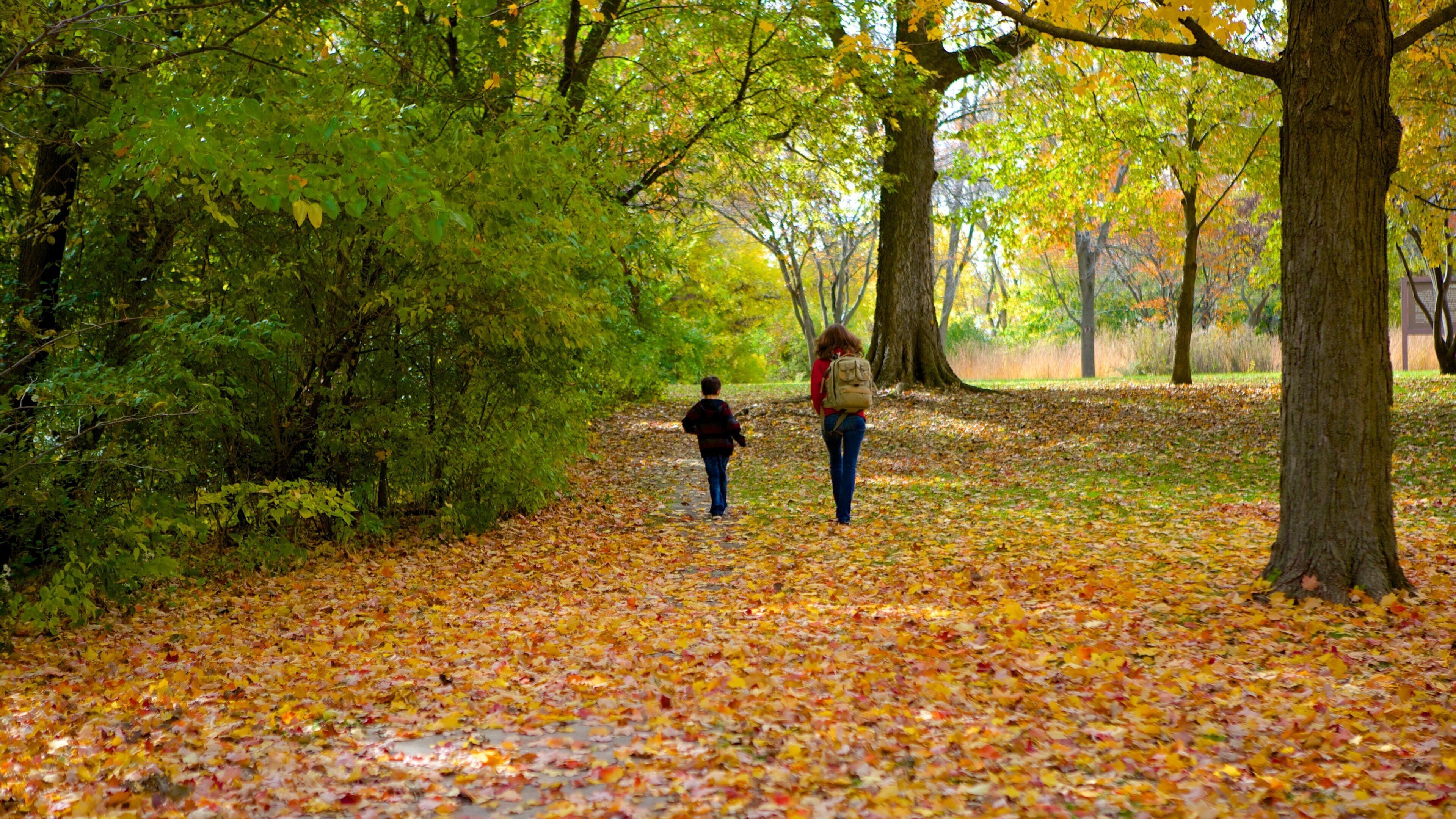 Black Hawk State Historic Site featuring a garden and fall colors