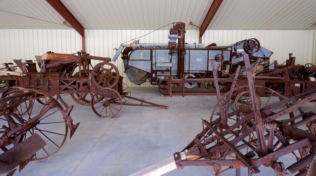 Greater Southwest Historical Museum mettant en vedette vues intérieures et patrimoine historique