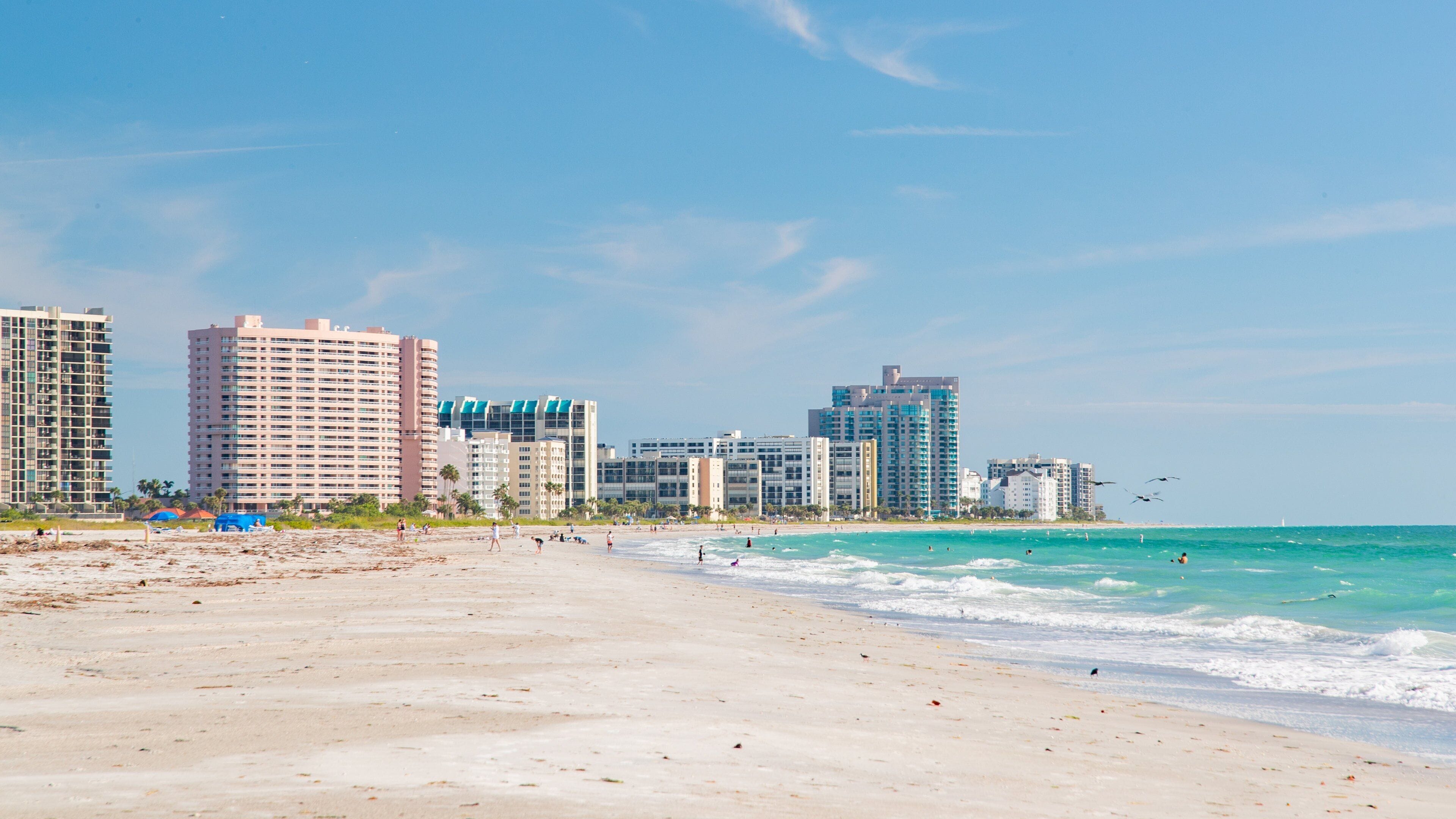 Sand Key Park showing general coastal views, a sandy beach and a coastal town