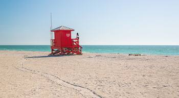 Sand Key Park featuring a sandy beach and general coastal views