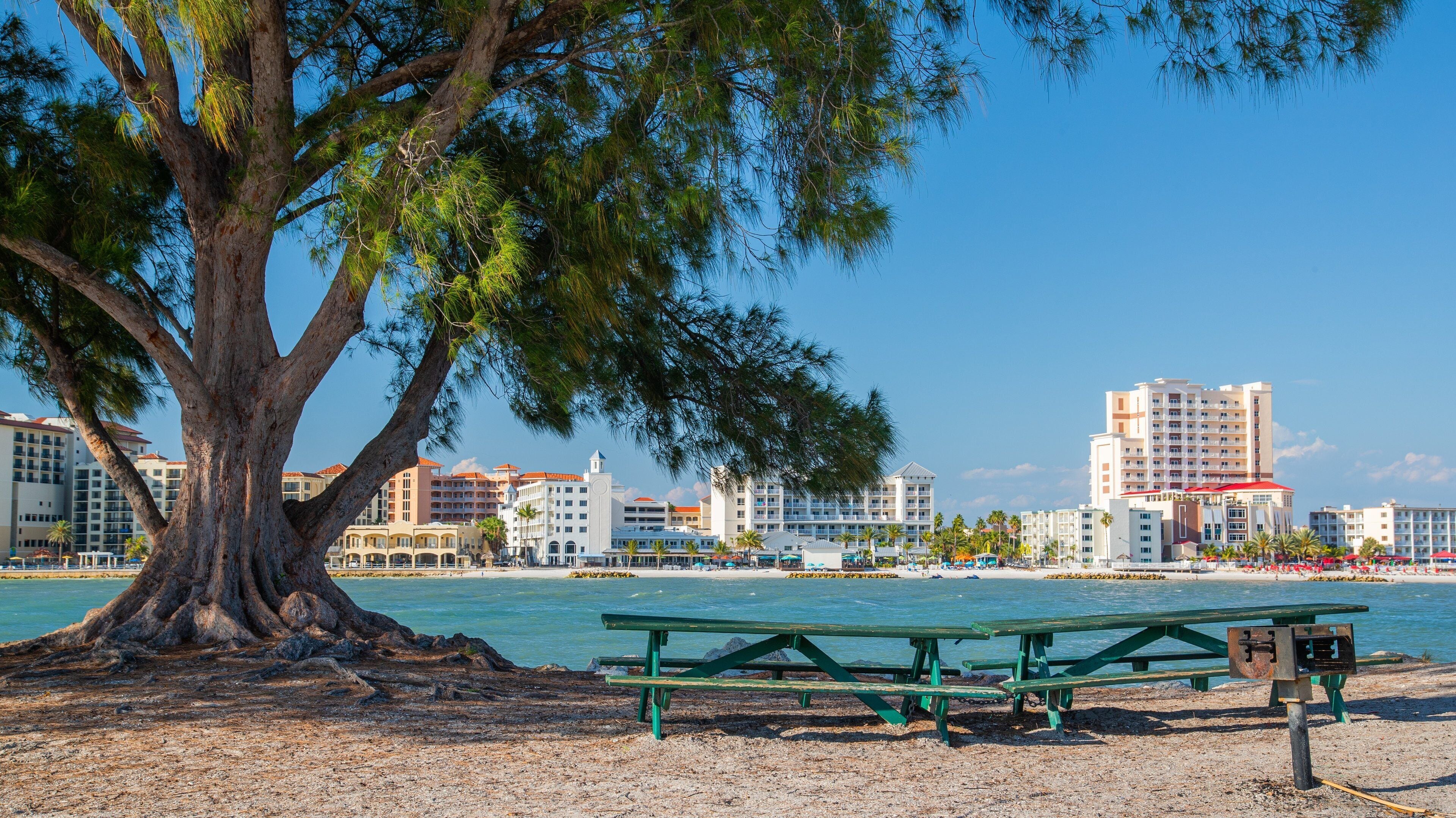 A beach with a large tree, green picnic tables, and a row of hotels in the background.