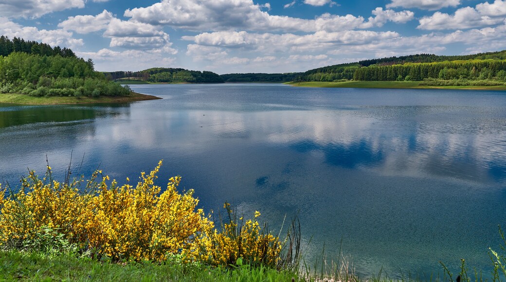 Ein ruhiger See, umgeben von üppigem Grün und einem bewaldeten Hügel.